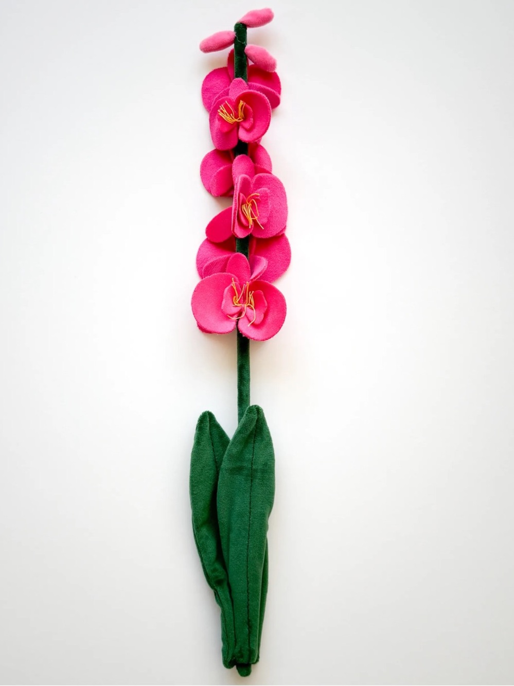 CJ Hendry Flower Market Pink Orchid